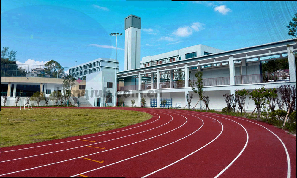 球场几何线条与比分轨迹构成的抽象封面图形